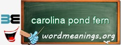 WordMeaning blackboard for carolina pond fern